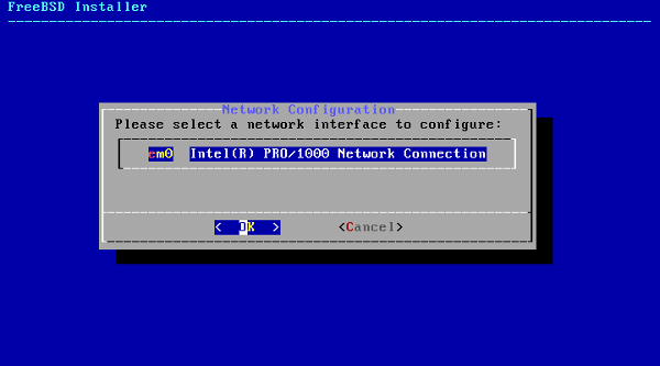 11-freebsd-network-config.png